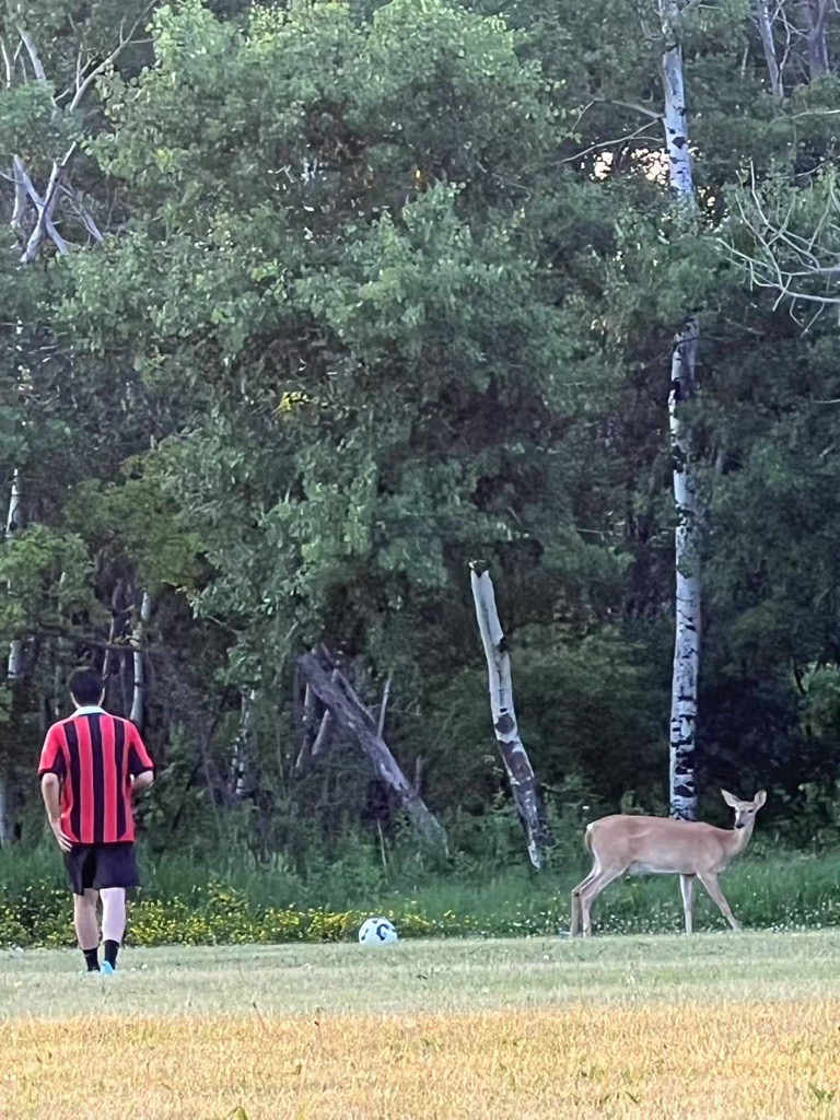 Picture of myself doing outdoor activity