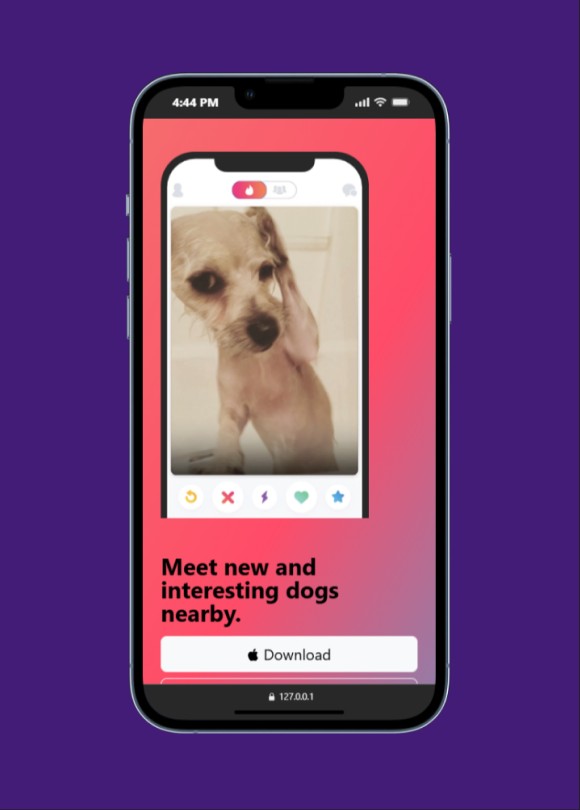 Screenshot of the TinDog website project